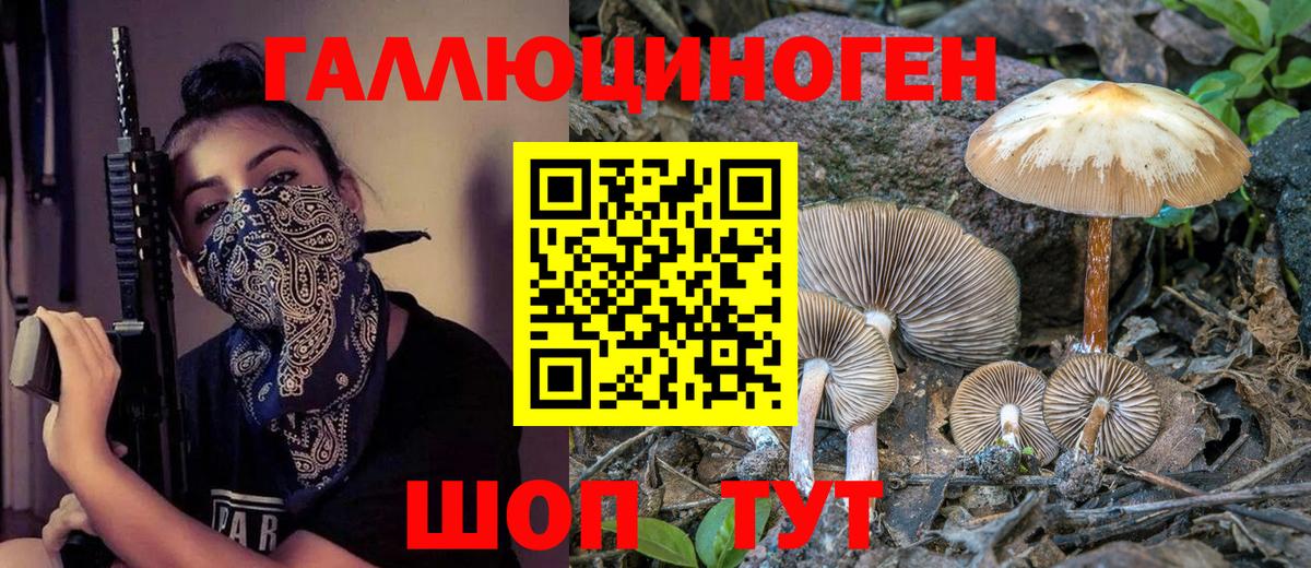 Псилоцибиновые грибы MAGIC MUSHROOMS Нарьян-Мар